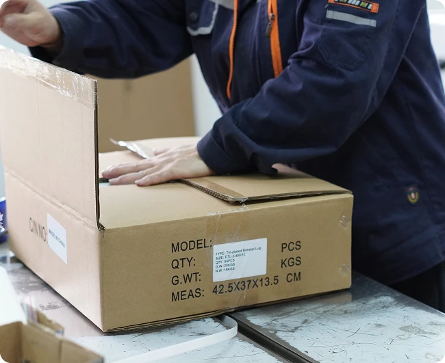 Professional Packaging Phase