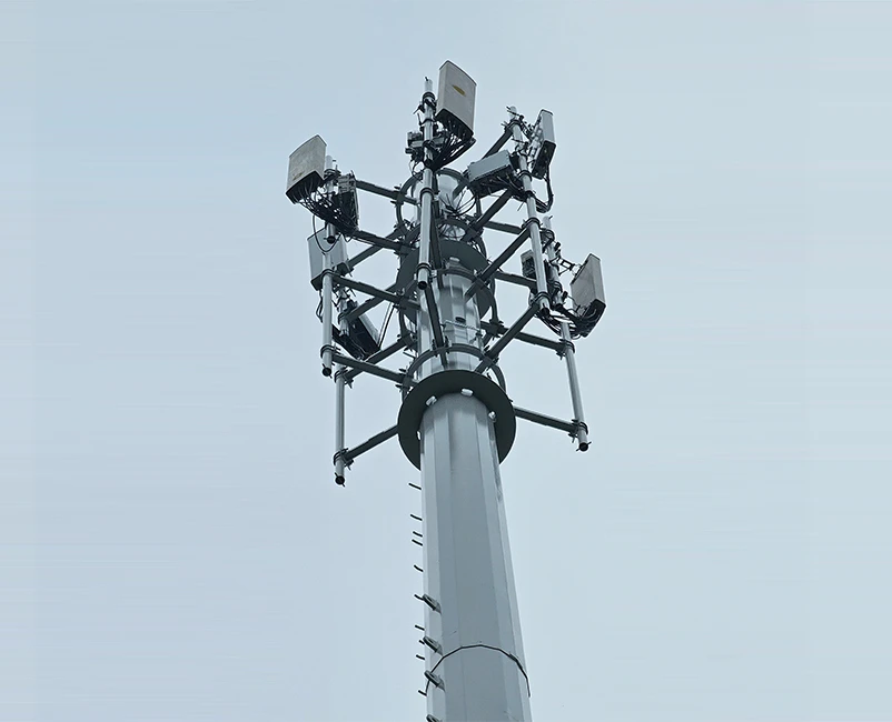 Southeast Asia Telecom Operator Base Station Protection Project
